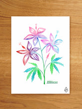 Load image into Gallery viewer, Hibiscus
