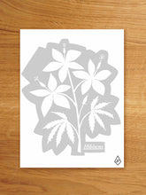 Load image into Gallery viewer, Hibiscus