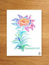 Load image into Gallery viewer, Creoline
